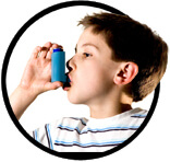 Обострение астмы из-за распространения клопов. Обработка мебели от клопов